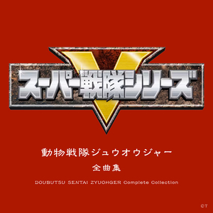 91视频免费版官网
