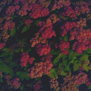 91视频免费版官网
