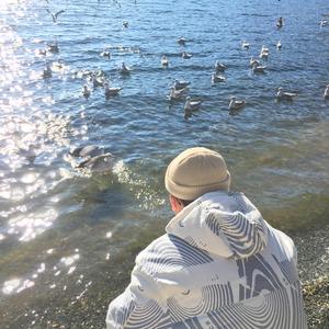 91视频免费版官网
