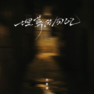 91视频免费版官网
