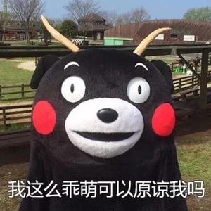 91视频免费版官网
