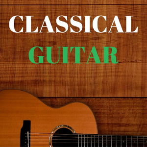 91视频免费版官网
