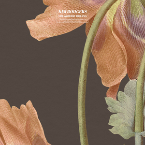 91视频免费版官网
